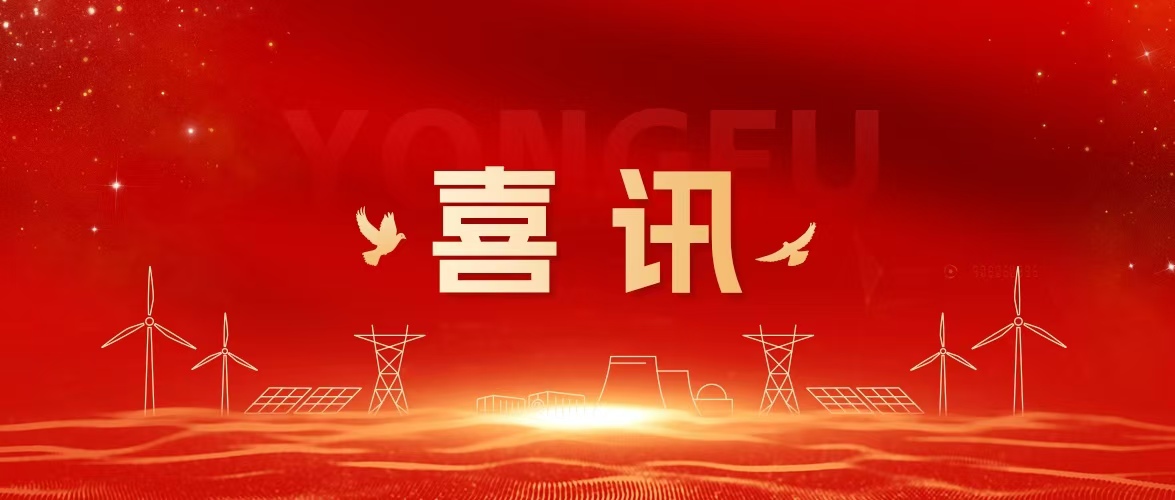 凯时首页数能荣获2025年福建省专精特新中小企业称号